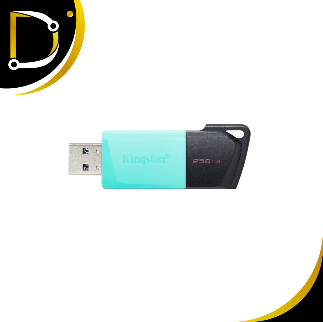 Pendrive Kingston 256Gb dtexodia USB 3.2